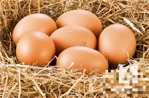 绿皮鸡蛋的营养价钱有哪些