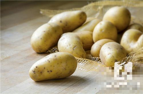 土豆减肥法26天37斤