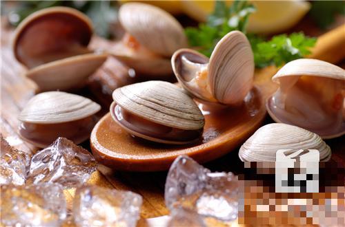 牡蛎的功效都有哪些？