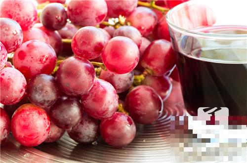 葡萄是寒性的吗？