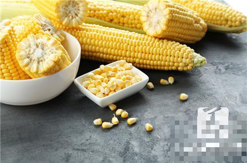 出现血糖高可以吃煮玉米吗?
