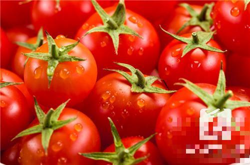 怀孕初期能吃番茄吗？