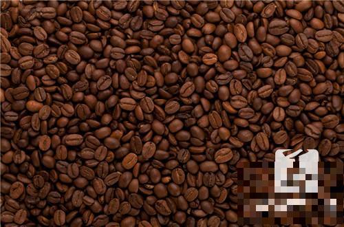 咖啡豆能放多久