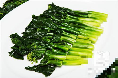 绿叶青菜种类