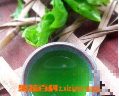 菠菜汁怎么做 菠菜汁的做法