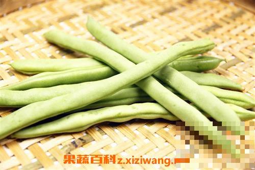 四季豆有哪些功效与作用 四季豆有哪些营养