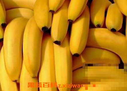 女性月经期间能吃香蕉吗