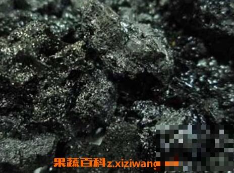 中药血余炭的功效与作用及禁忌