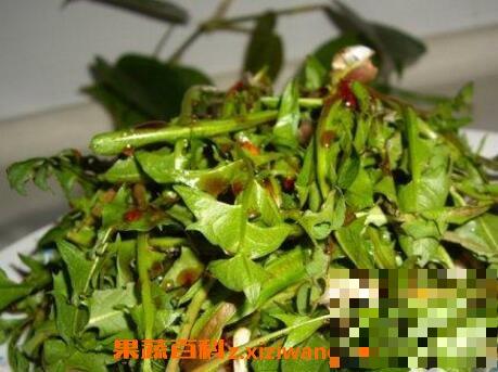 青麻菜的功效与作用及食用方法