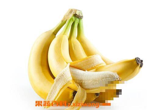 空腹吃香蕉好吗 空腹吃香蕉的危害