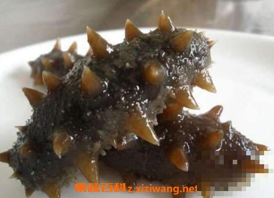 海参怎么吃 海参的食用方法