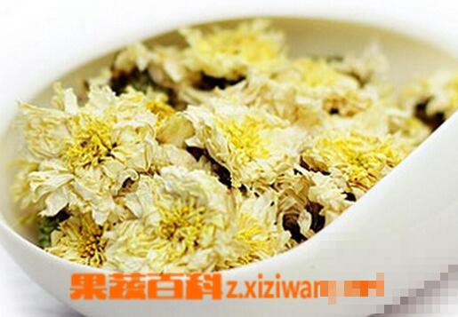 菊花的药用价值与功效