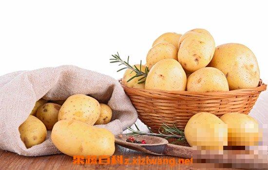 土豆的功效与作用 土豆有哪些营养价值