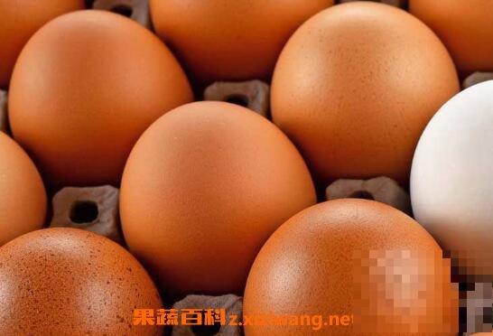 蛋怎么保存 保存蛋不变质的技巧教程