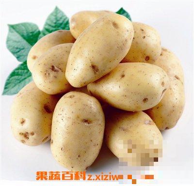 土豆的功效与作用 土豆有哪些营养价值