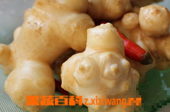 洋姜泡菜的腌制方法 洋姜泡菜如何做好吃