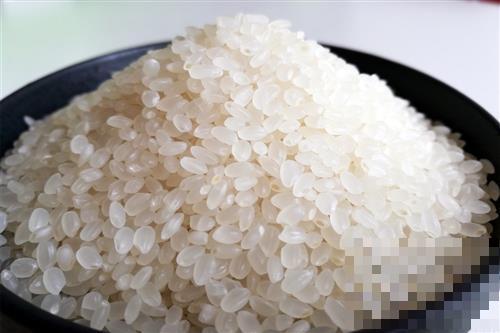 大米含有哪些营养 大米的营养价值