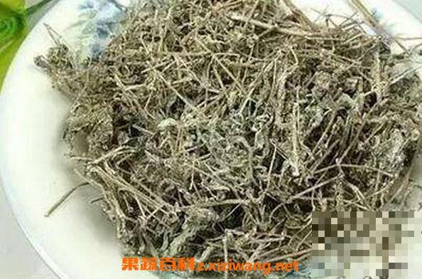 溪黄草茶可以常喝吗 溪黄草茶的功效