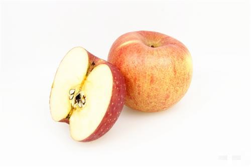 海棠果与苹果是同一种水果吗？