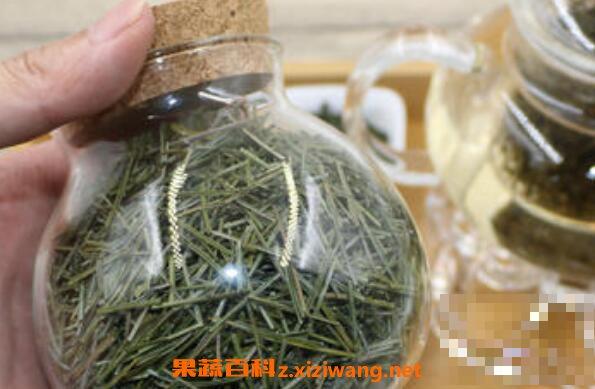 松针茶的制作方法 松针茶为什么不能多喝