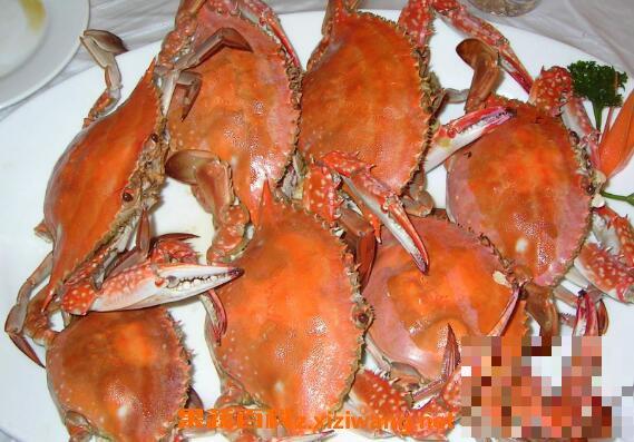 螃蟹怎么保存 螃蟹保鲜的方法技巧