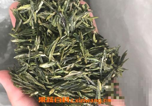 茅山青峰的功效与作用 茅山青峰好喝吗