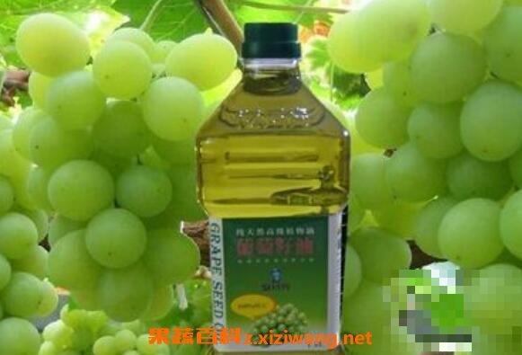 葡萄籽油的功效与作用 葡萄籽油的营养价值