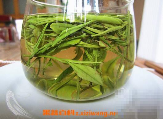 安吉白茶属于什么茶 安吉白茶怎么泡