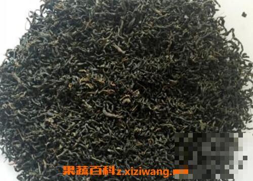 什么人不适合喝辣木茶 辣木叶茶的做法