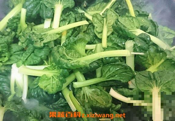 塔菜的功效与作用 塔菜的食用禁忌