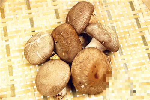 香菇被称为“山珍之王” 冬季进补一定要吃它
