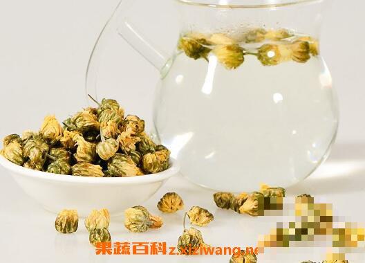 菊花能泡功夫茶吗 菊花茶怎么泡最好喝