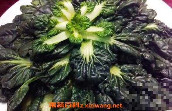 塔菜的功效与作用 塔菜的食用禁忌