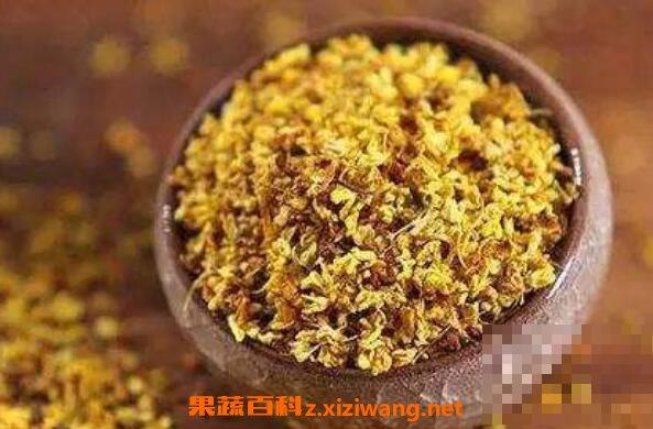 桂花茶的功效与作用及食用方法