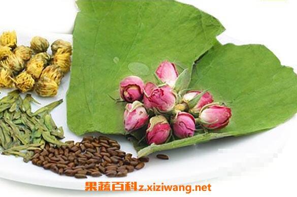 玫瑰荷叶茶的功效与作用 玫瑰荷叶茶的副作用