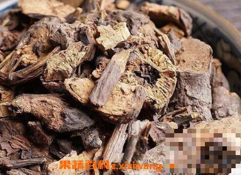 地榆根的功效与作用及药用价值