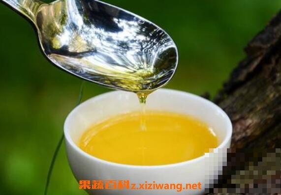 茶籽油的功效与作用 吃茶籽油的好处