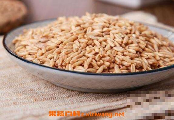 燕麦米怎么吃 燕麦米的食用方法教程