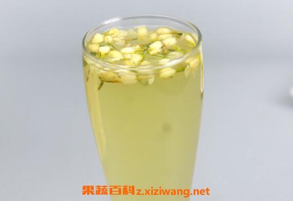 鲜茉莉茶的功效与作用