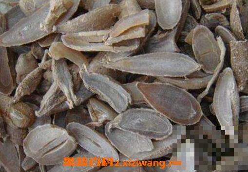 郁金的功效与作用 郁金的食用方法