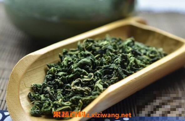 霜桑叶茶的作用与功效