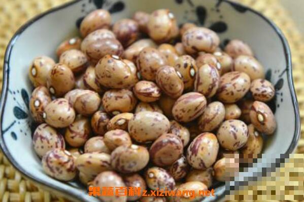 雀蛋豆的功效与作用 吃雀蛋豆的好处有哪些