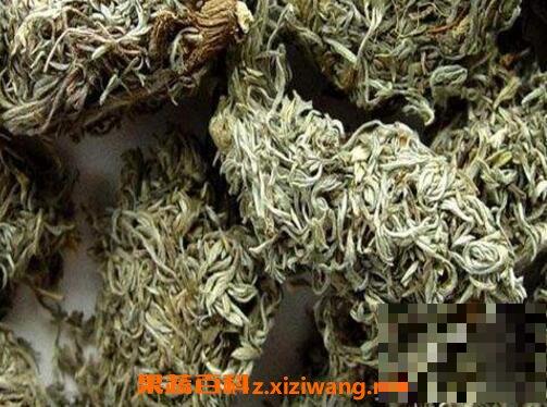 茵陈的功效与作用 茵陈的食用禁忌