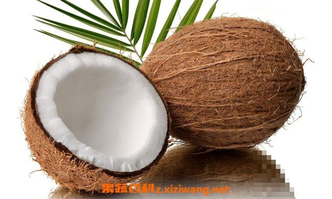 椰子的功效与作用 椰子的用途