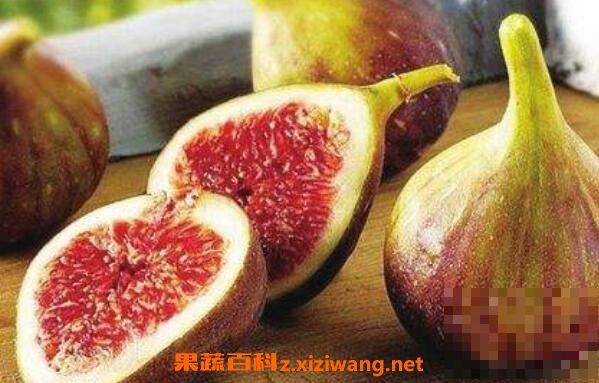 新鲜无花果怎么吃 新鲜无花果的功效与作用