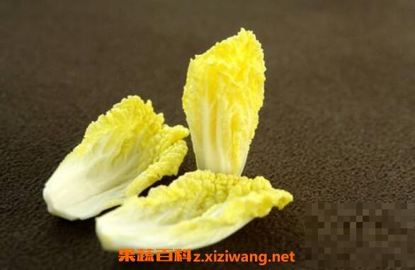 黄心菜怎么种植 黄心菜的种植时间和方法