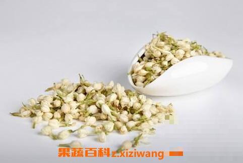 茉莉花的功效与作用 茉莉花的药用价值