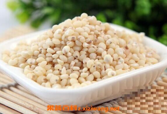 高粱米怎么吃 高粱米的食用方法