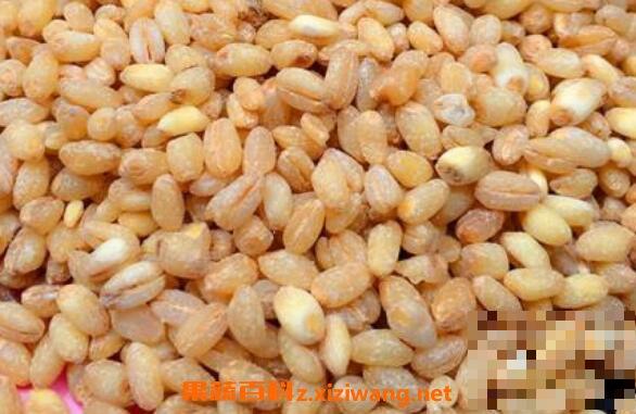 麦仁米的功效与作用 吃麦仁米的好处