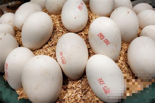 鸡蛋、鸭蛋、鹅蛋，哪种蛋营养最好？